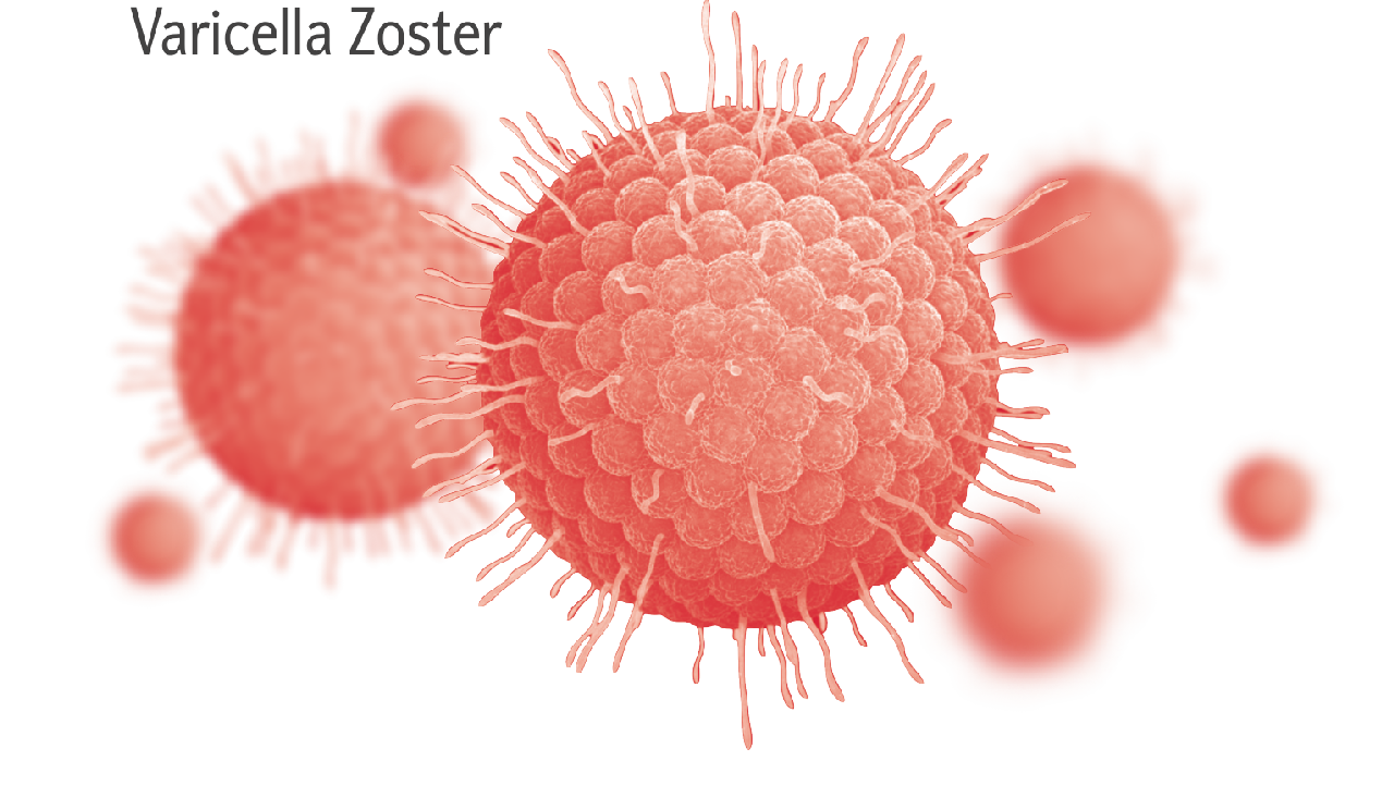 Ветрянка 2.png Ветрянка 2.png