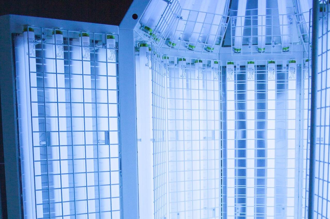 WhatsApp Image 2022-08-22 at 16.11.24.jpeg