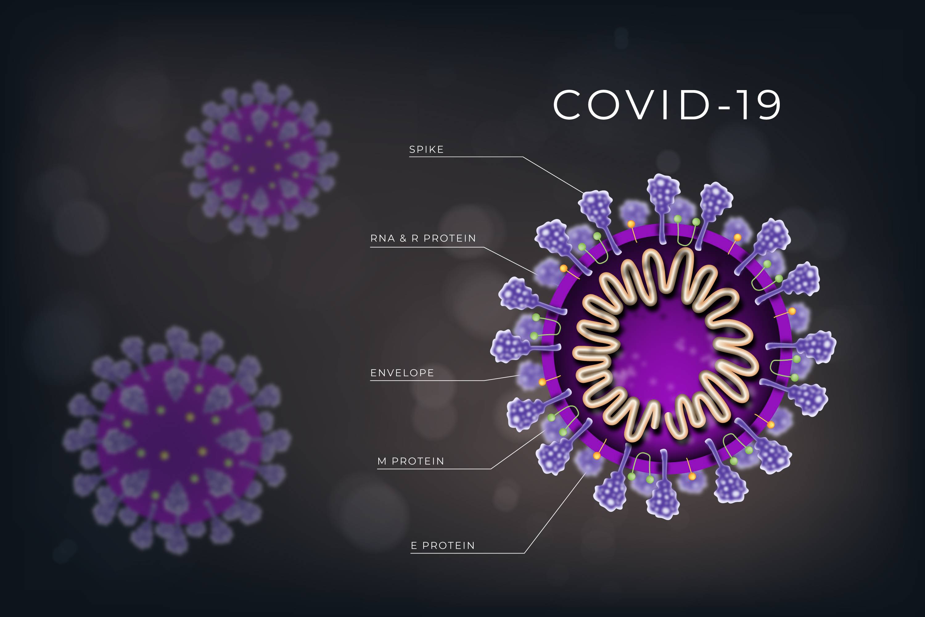 Изображение от Freepik   Изображение от Freepik