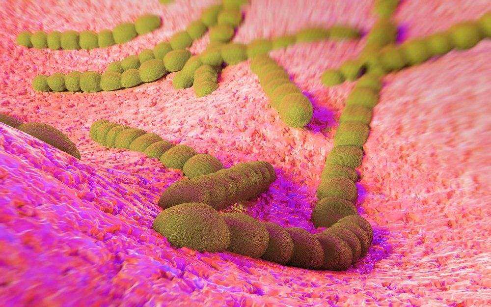 Пневмококковая палочка.jpg Пневмококковая палочка.jpg