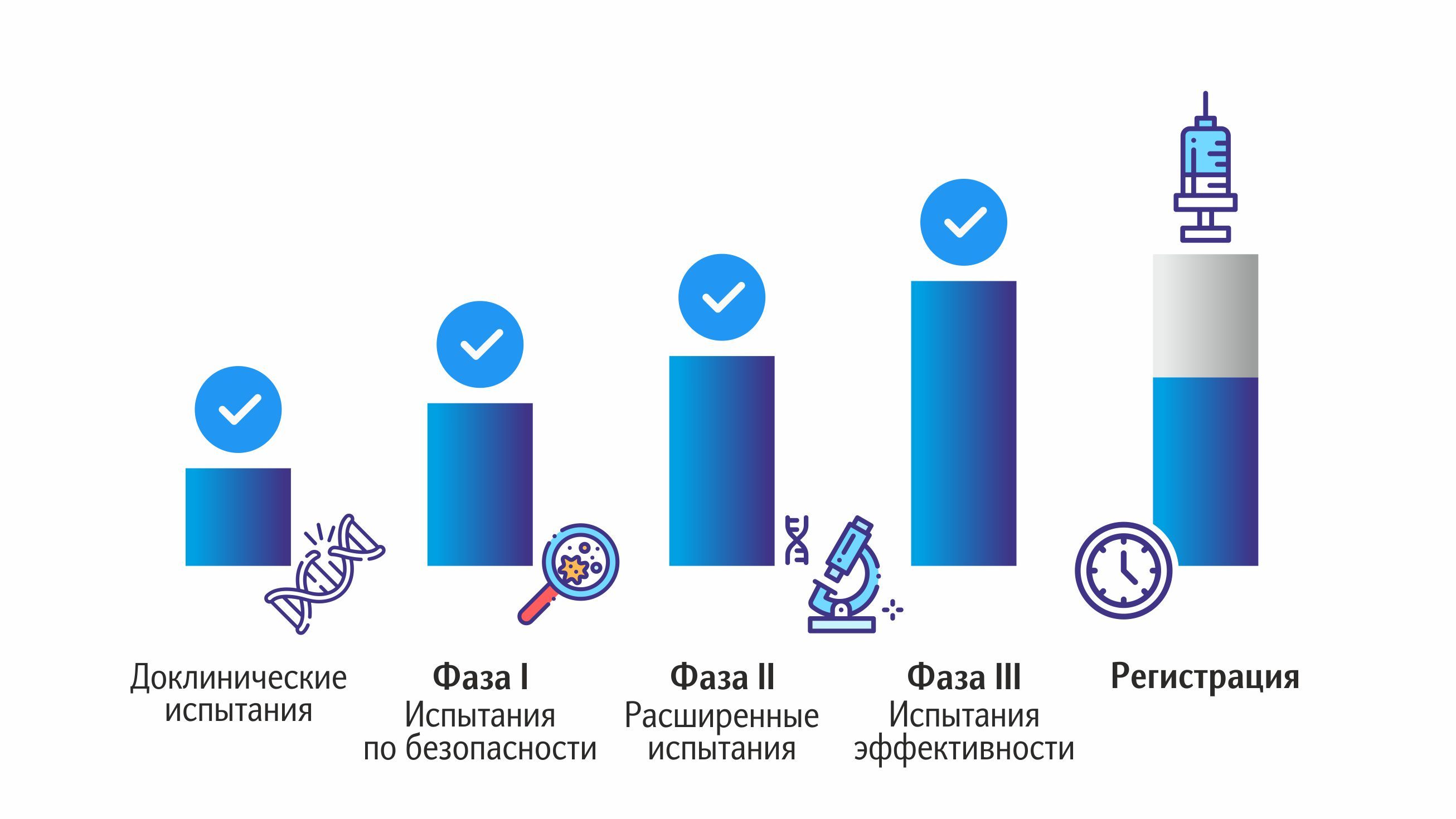 Этапы исследования вакцины.jpg Этапы.jpg