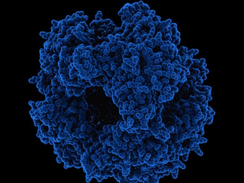 Ротавирсная инфекция под микроскопом Ротавирсная инфекция под микроскопом.jpg
